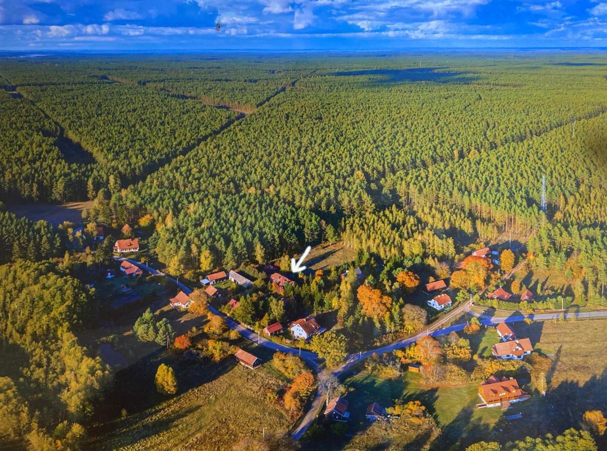 Oaza W Puszczy Z Sauna, Bania I Jacuzzi * Szeroki Bor
