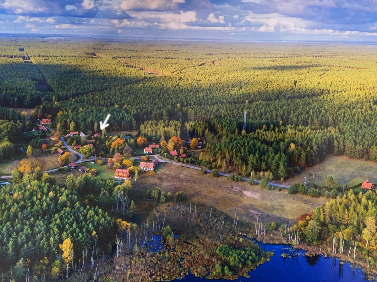 Oaza W Puszczy Z Sauna, Bania I Jacuzzi * Szeroki Bor